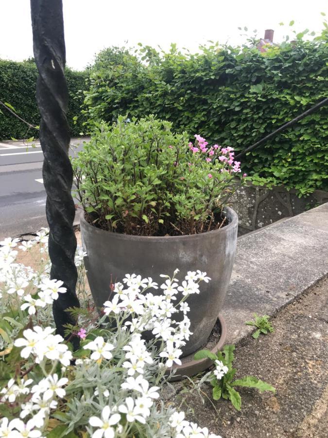 Bnb Thuroe Svendborg Eksteriør bilde